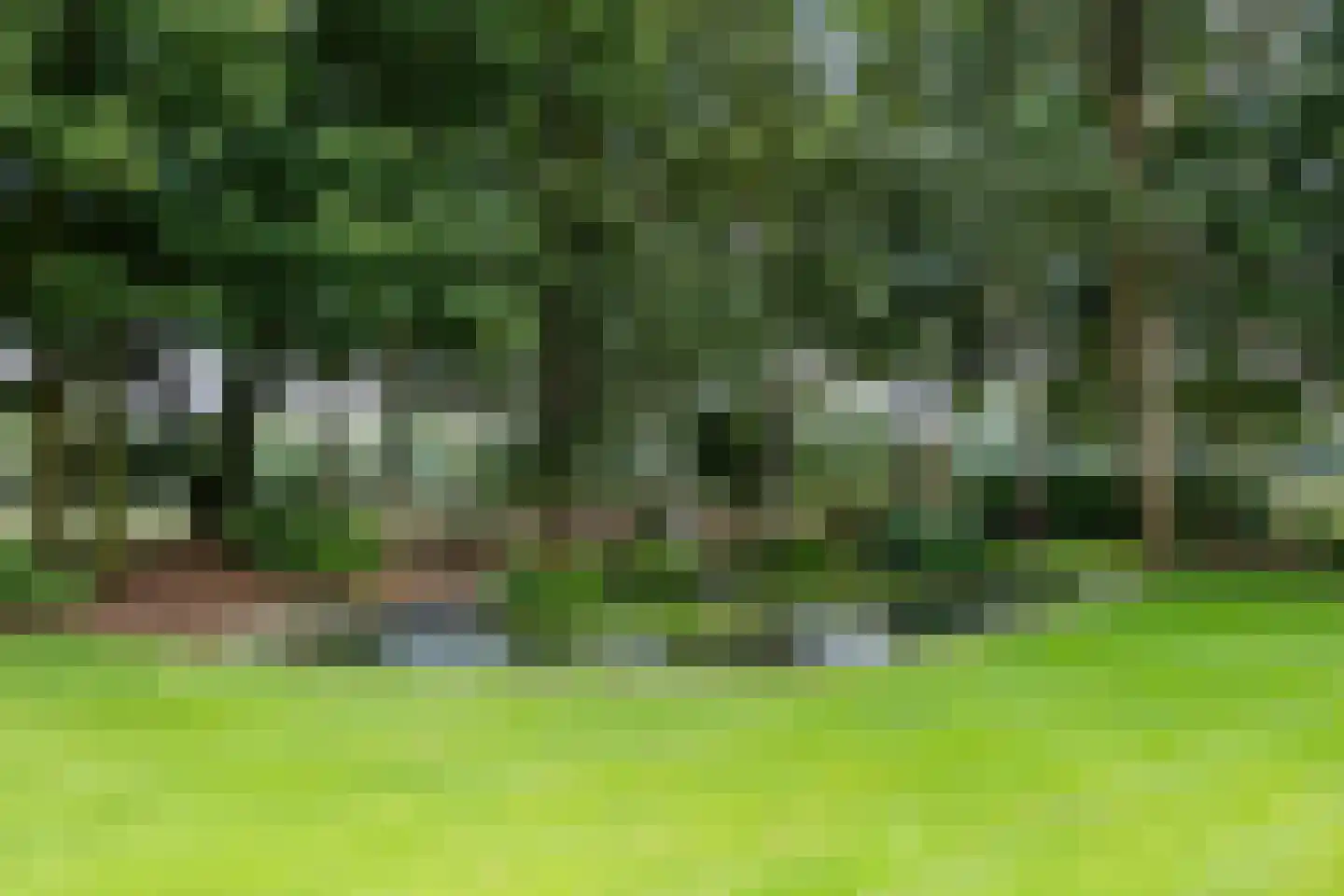 Lankerseweg 3 Heijen thumbnail 121