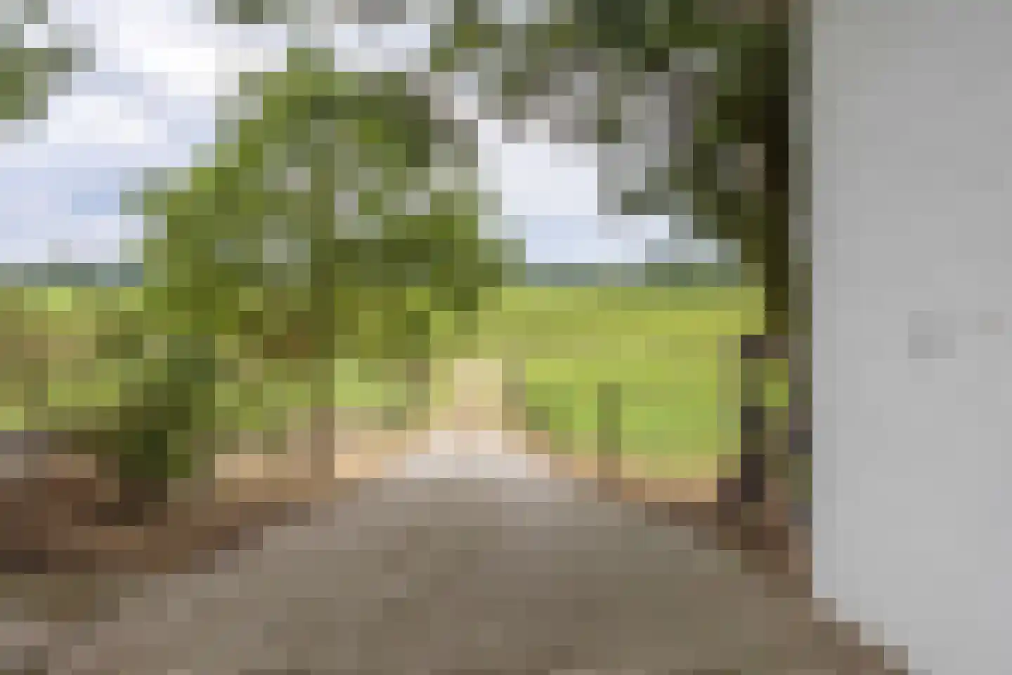 Lankerseweg 3 Heijen thumbnail 130