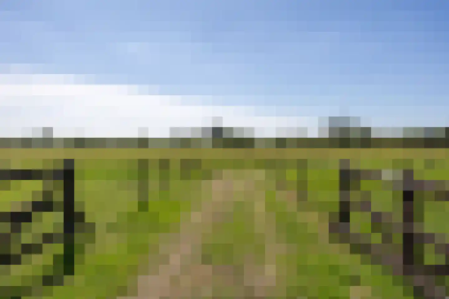 Lankerseweg 3 Heijen thumbnail 133