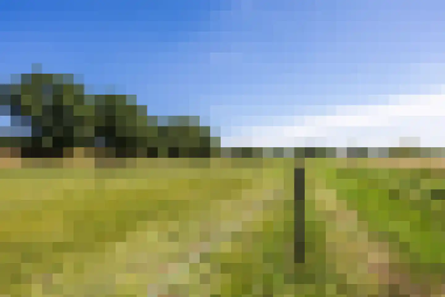 Lankerseweg 3 Heijen thumbnail 138