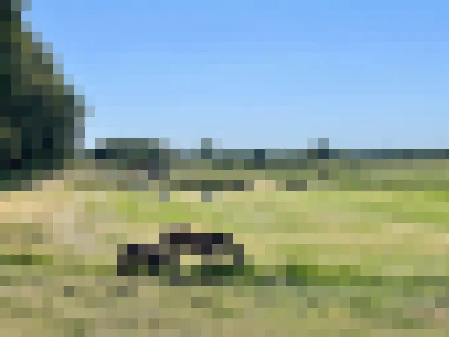 Lankerseweg 3 Heijen thumbnail 139