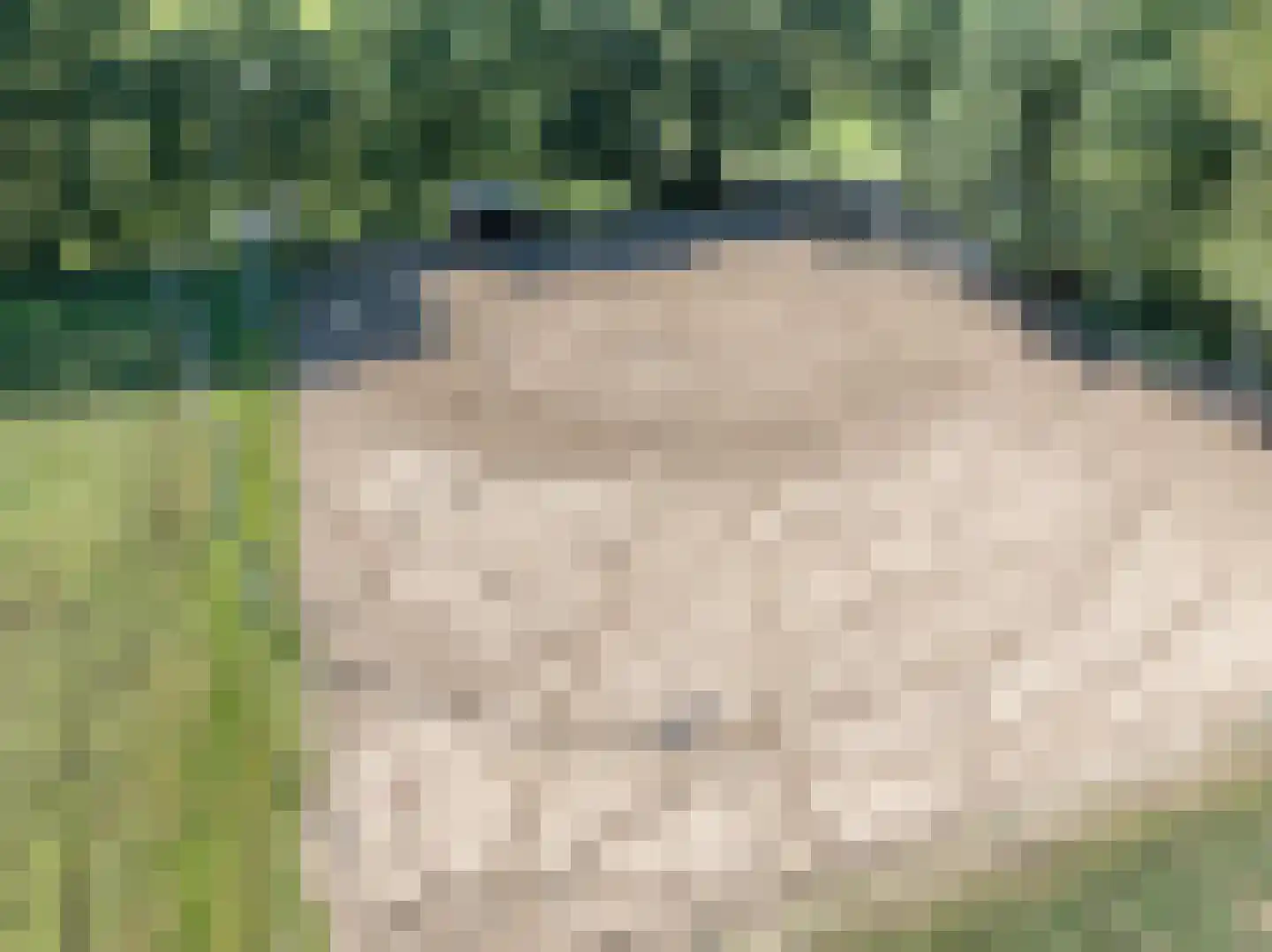 Lankerseweg 3 Heijen thumbnail 141
