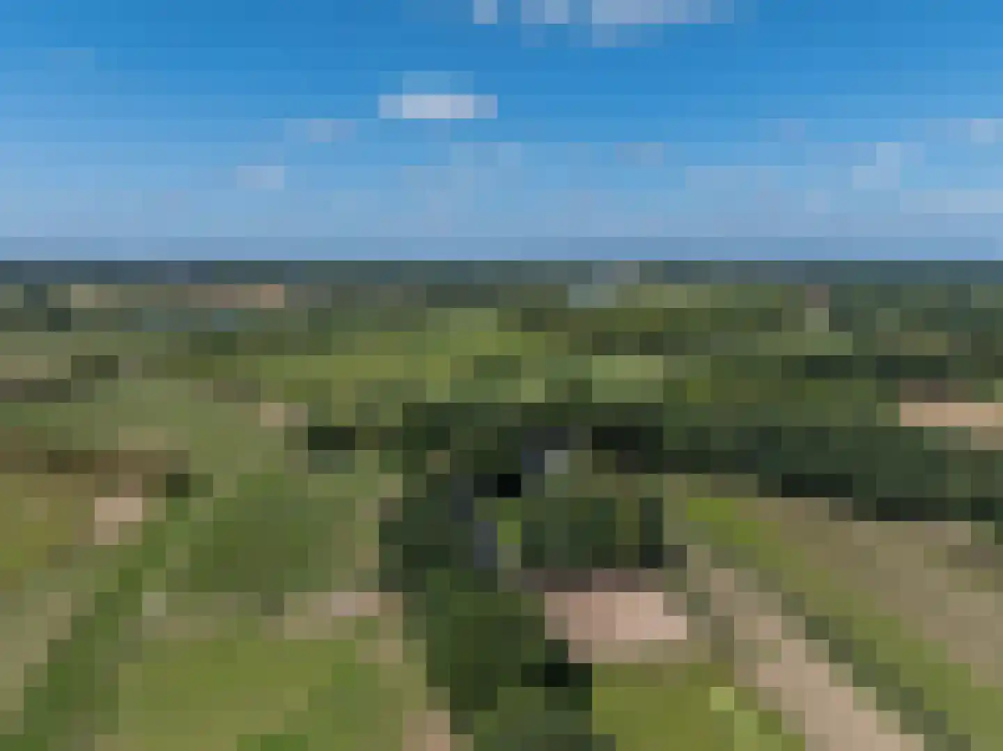 Lankerseweg 3 Heijen thumbnail 143