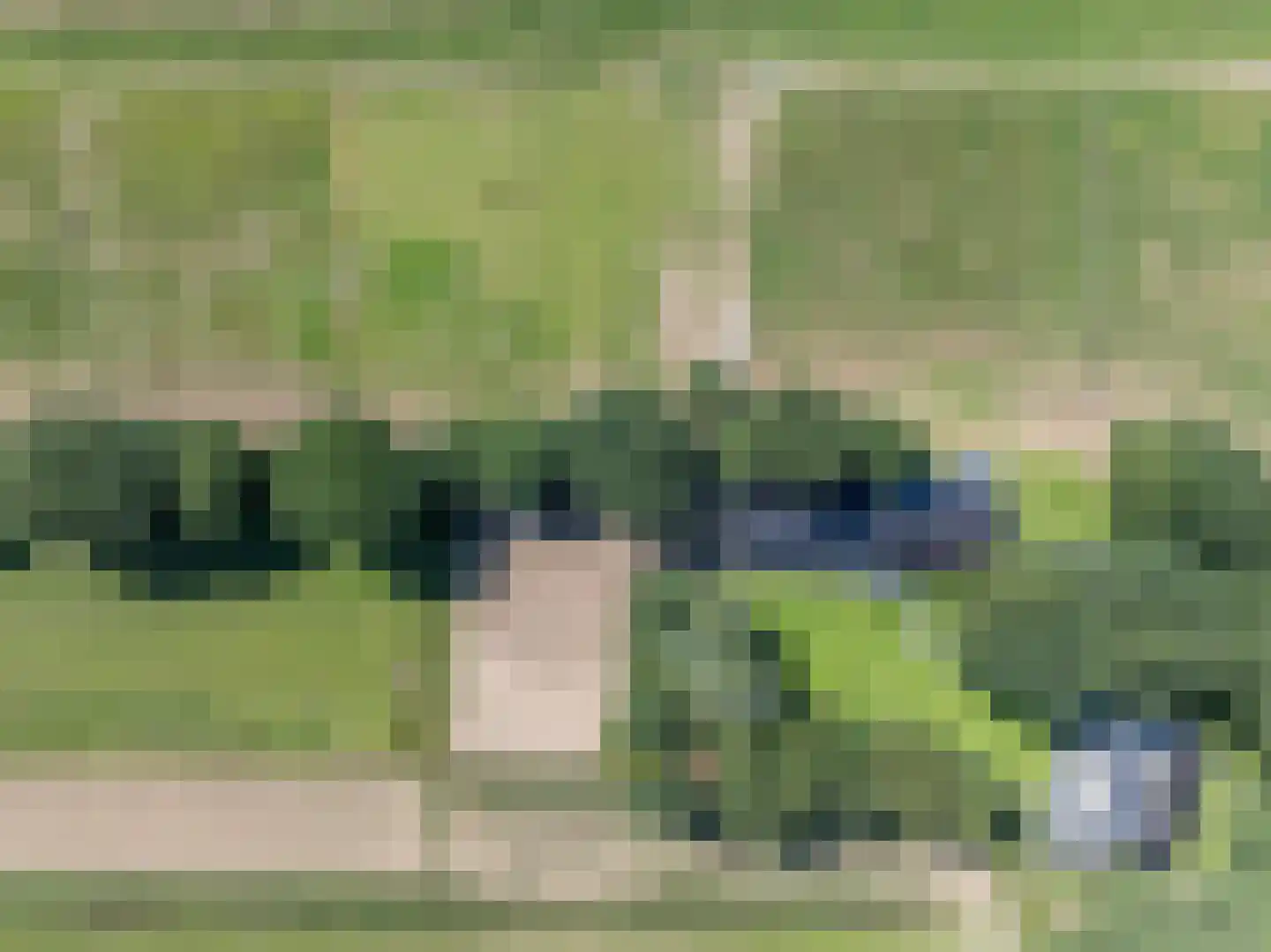 Lankerseweg 3 Heijen thumbnail 148