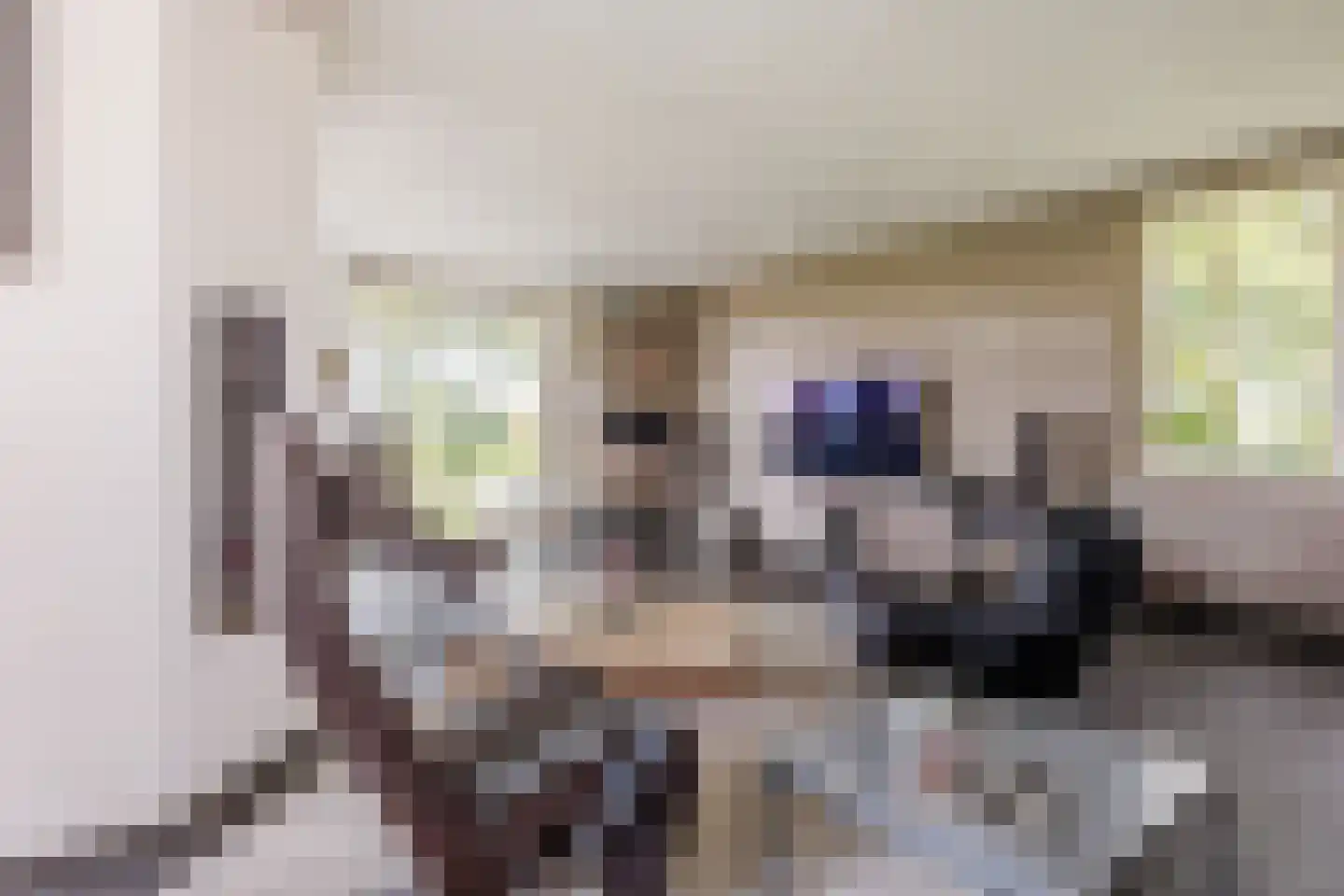 Lankerseweg 3 Heijen thumbnail 22