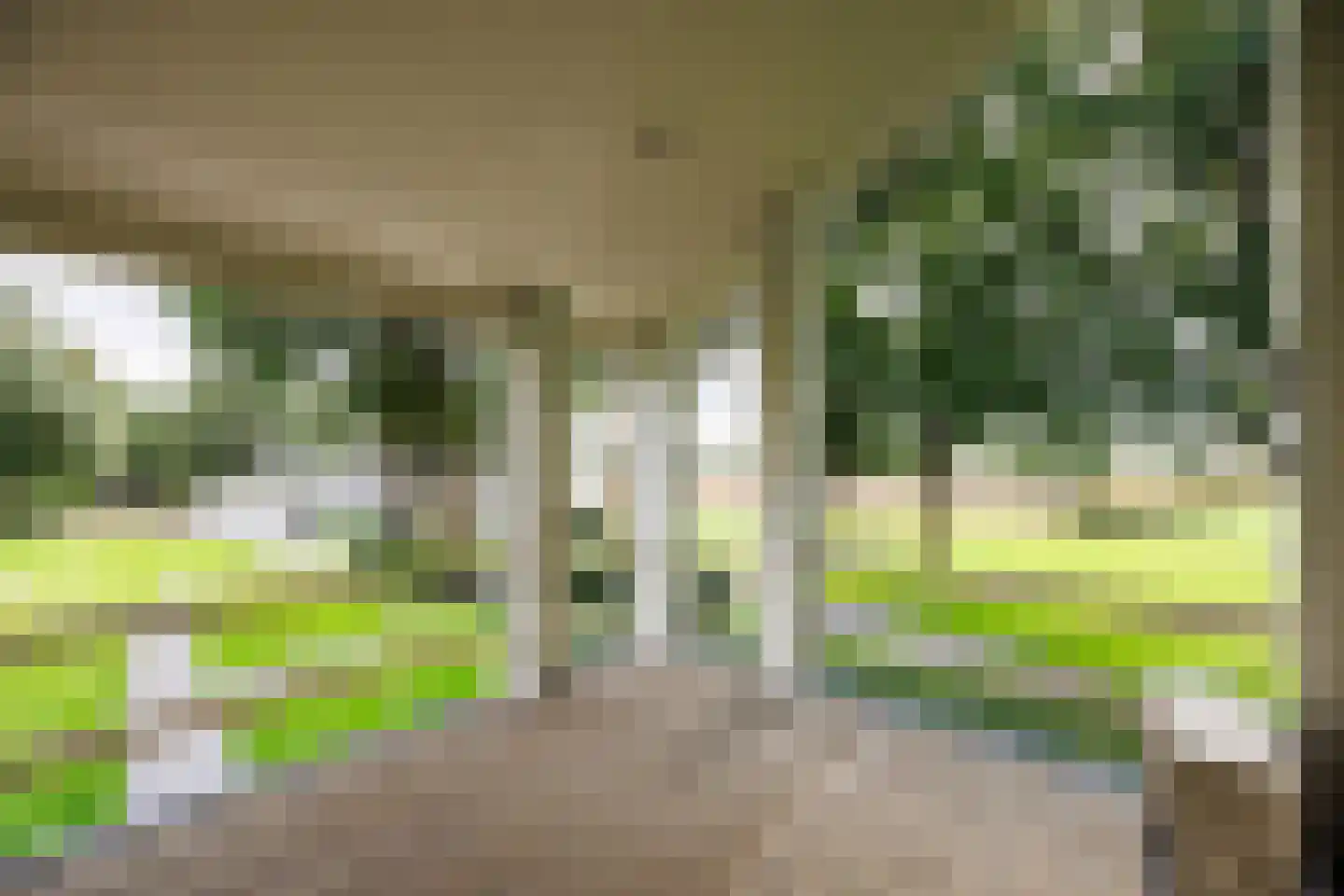 Lankerseweg 3 Heijen thumbnail 53