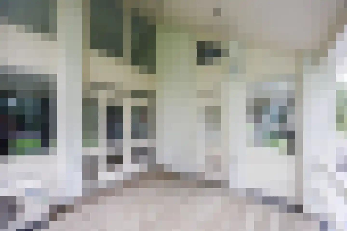 Lankerseweg 3 Heijen thumbnail 54