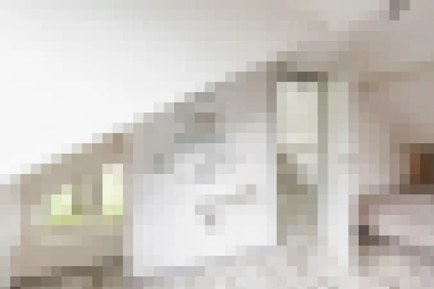 Lankerseweg 3 Heijen thumbnail 56