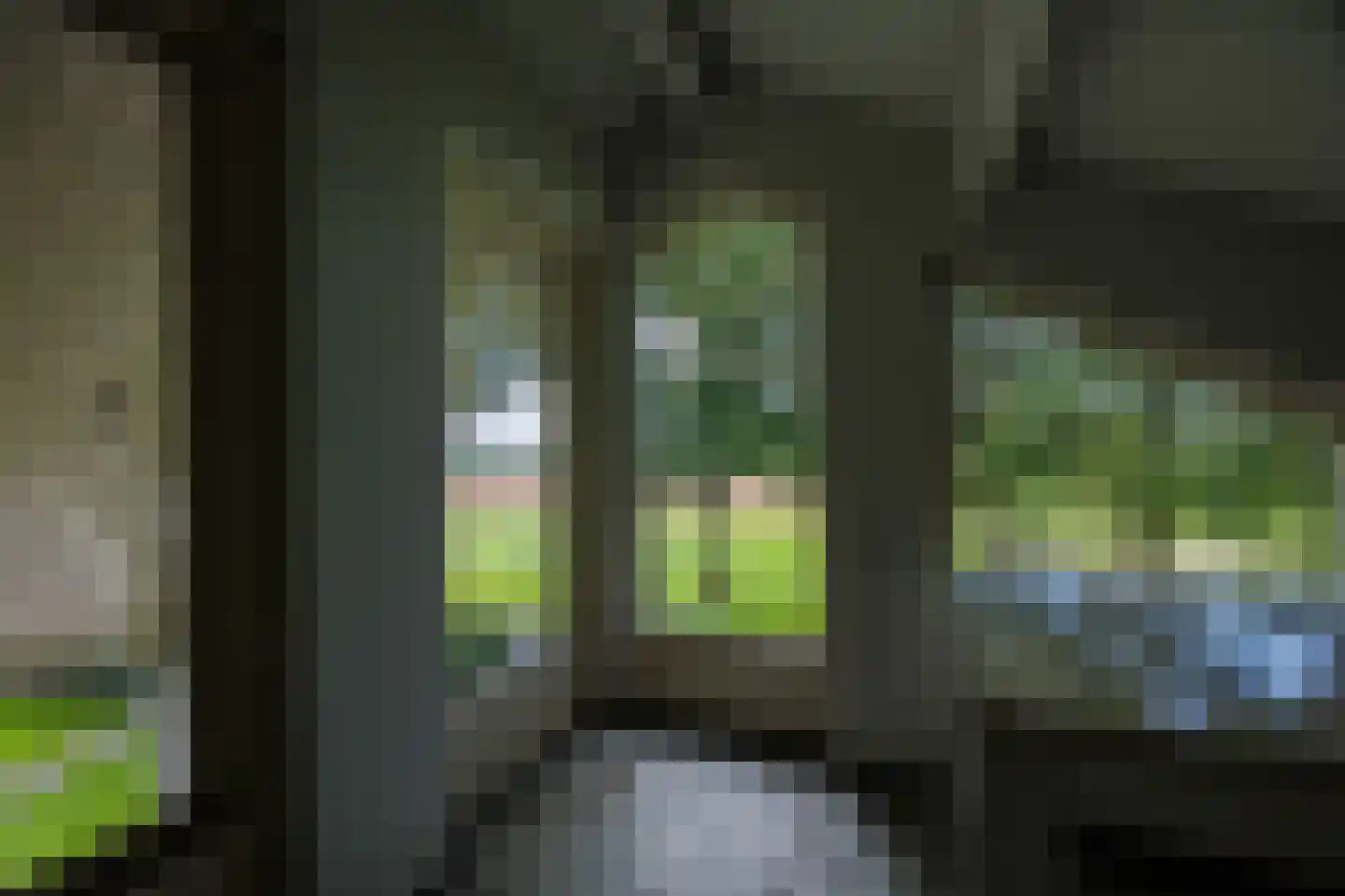 Lankerseweg 3 Heijen thumbnail 59