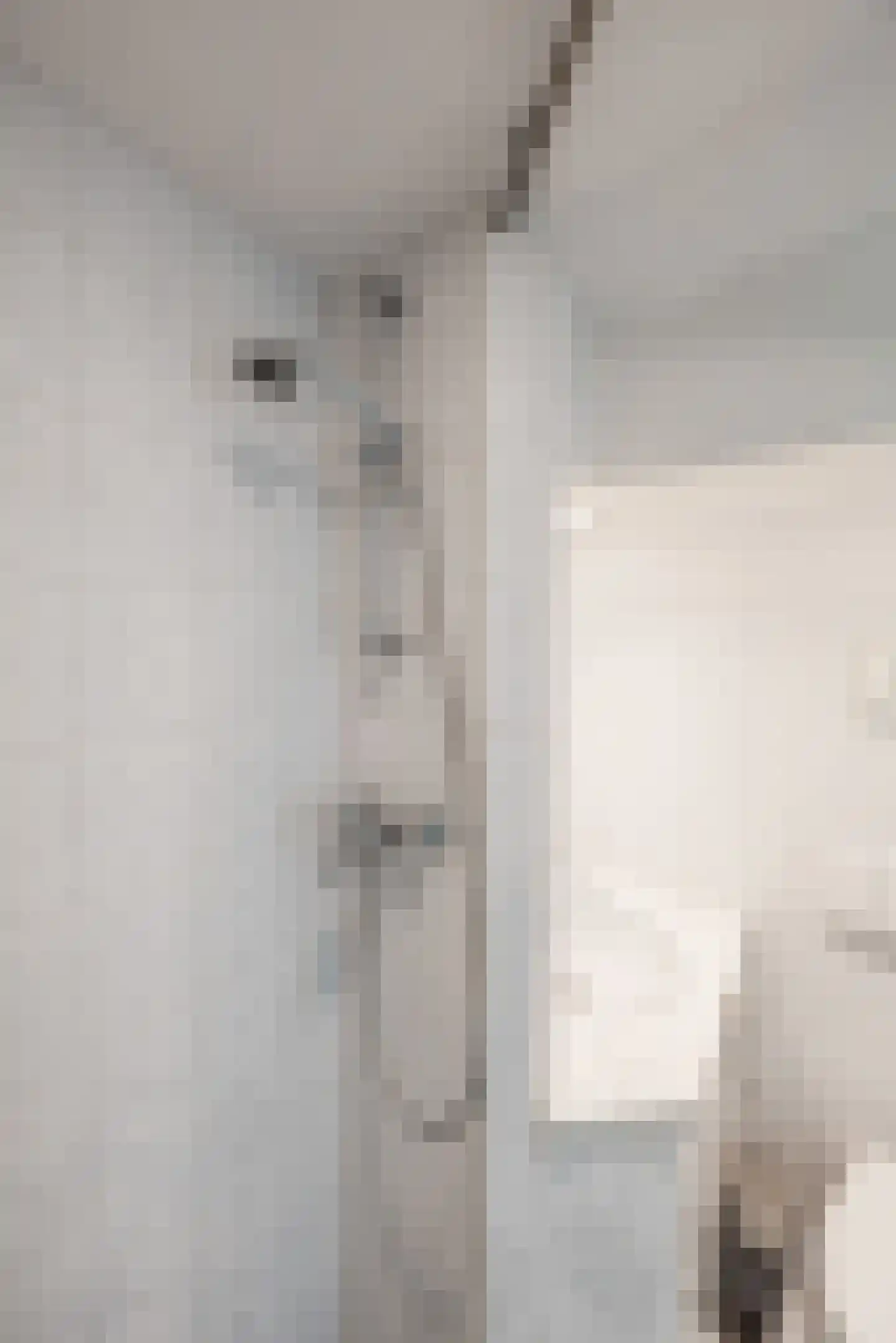Lankerseweg 3 Heijen thumbnail 66