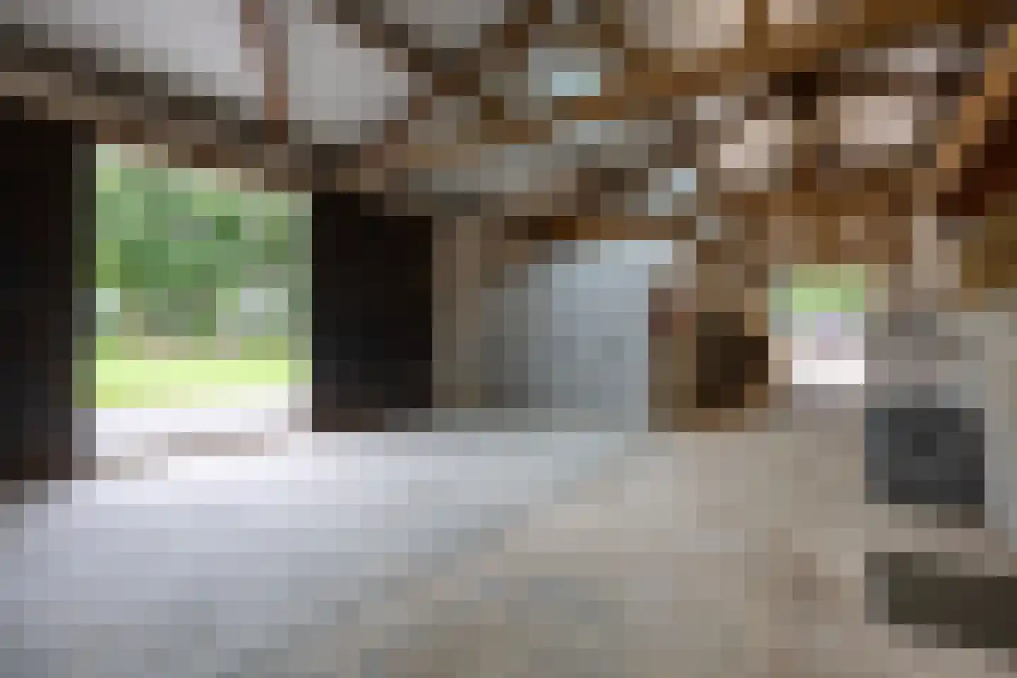 Lankerseweg 3 Heijen thumbnail 86