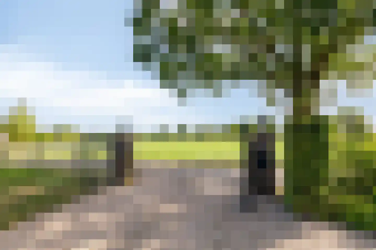 Lankerseweg 7 Halle thumbnail 10