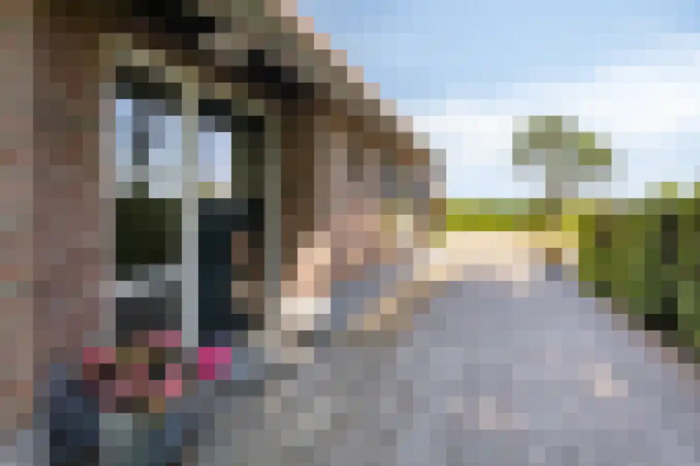 Lankerseweg 7 Halle thumbnail 20