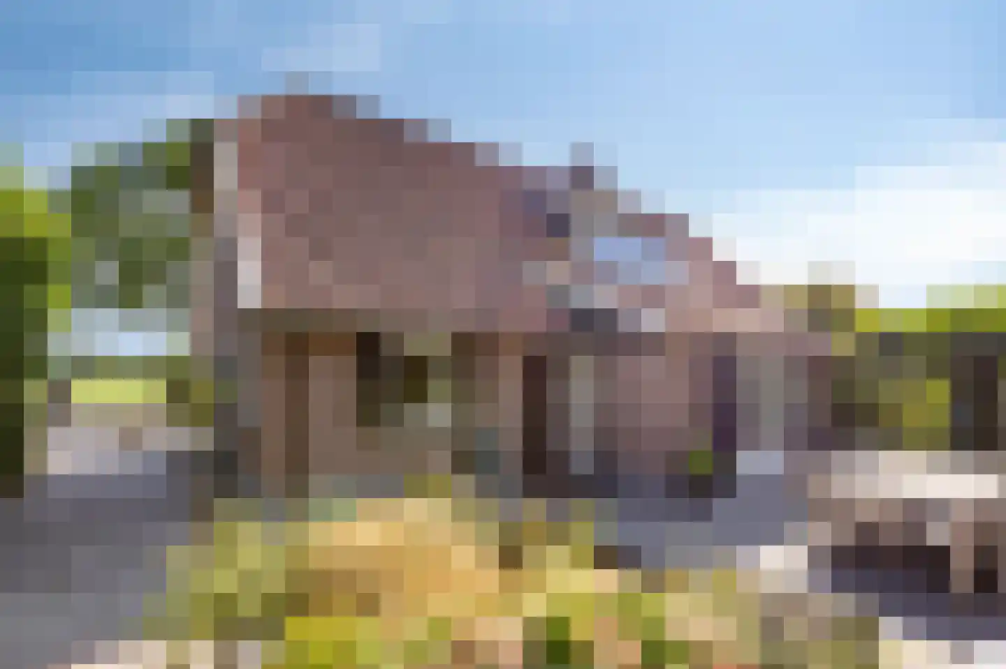 Lankerseweg 7 Halle thumbnail 38
