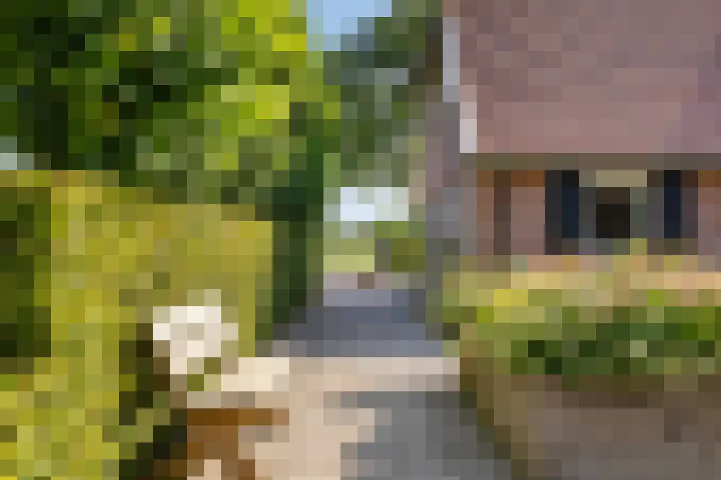 Lankerseweg 7 Halle thumbnail 39