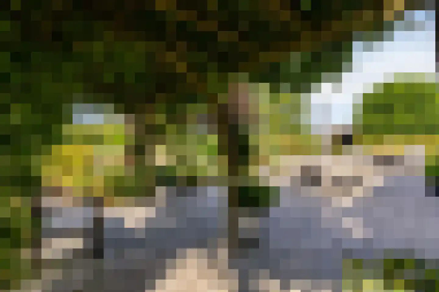 Lankerseweg 7 Halle thumbnail 45