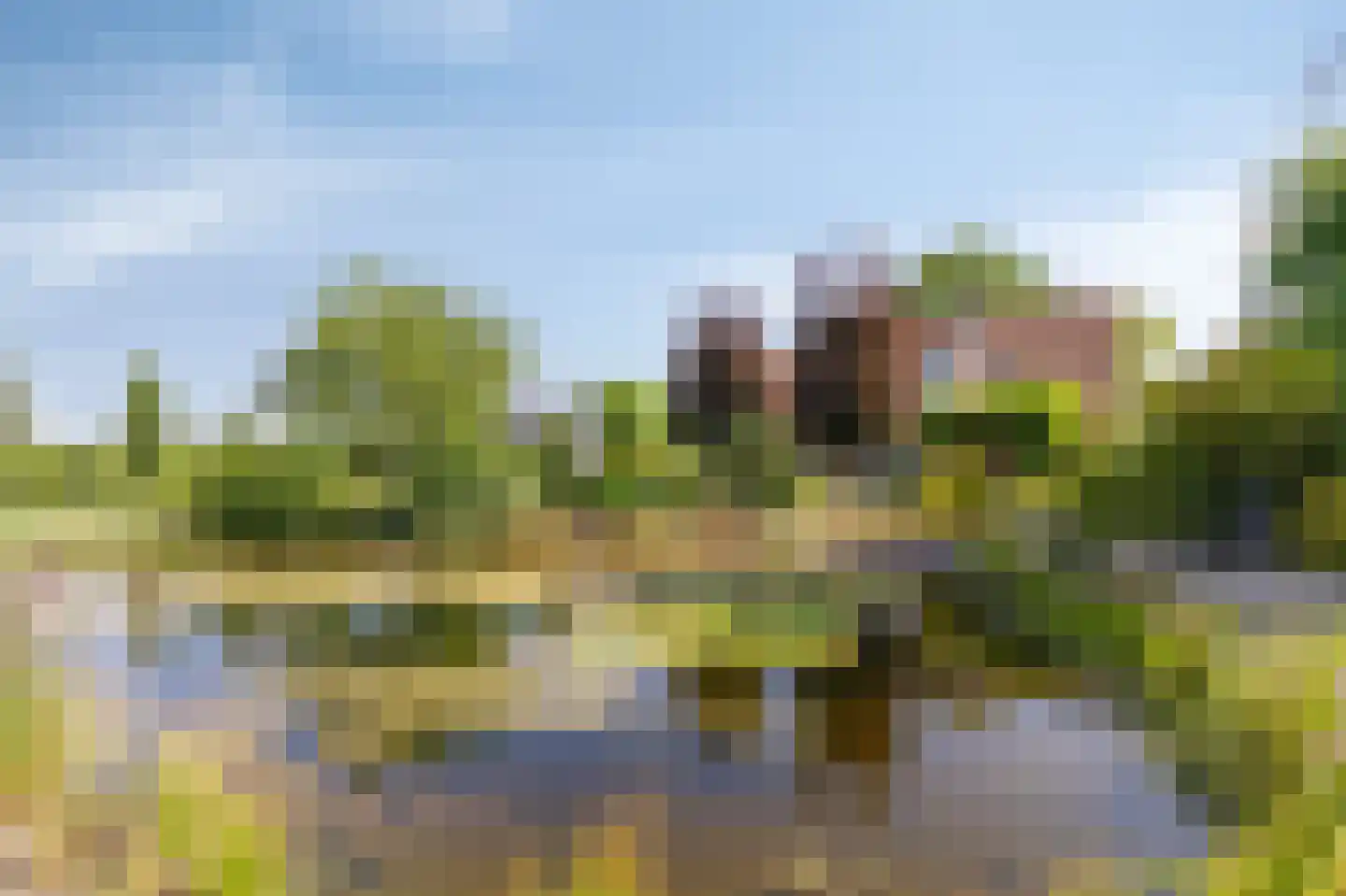 Lankerseweg 7 Halle thumbnail 46