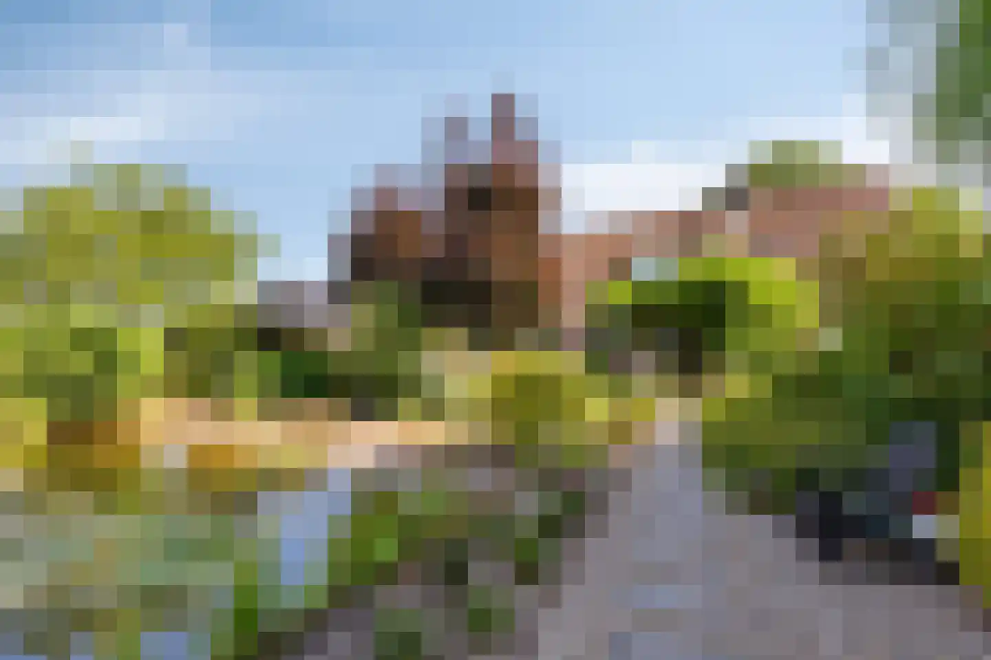 Lankerseweg 7 Halle thumbnail 47