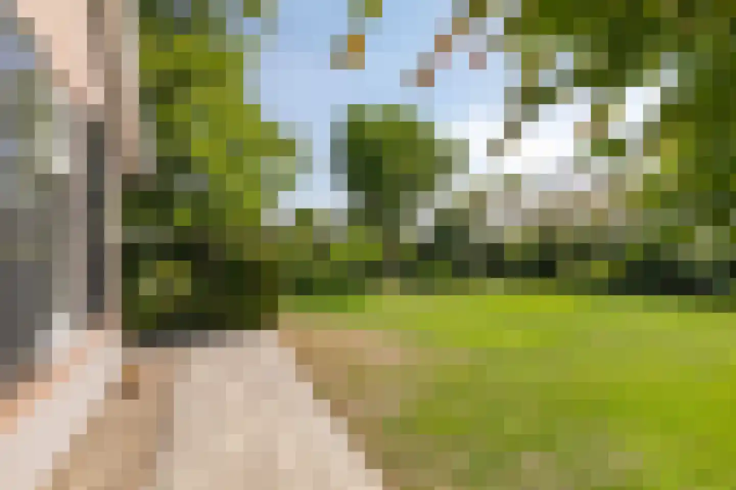 Lankerseweg 7 Halle thumbnail 48