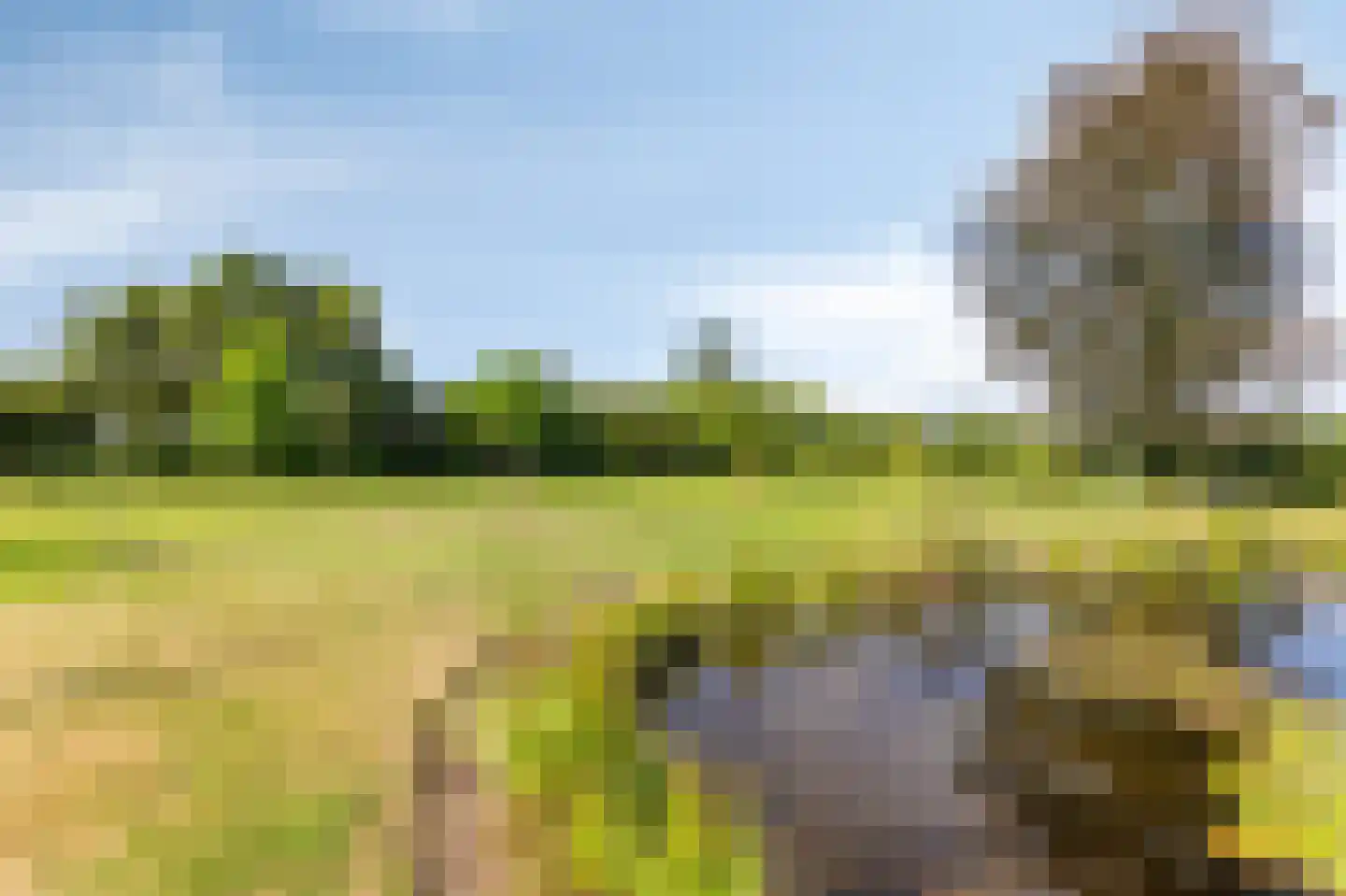 Lankerseweg 7 Halle thumbnail 51