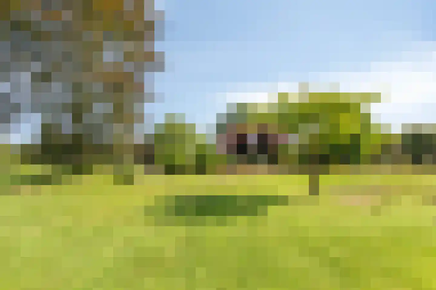 Lankerseweg 7 Halle thumbnail 53