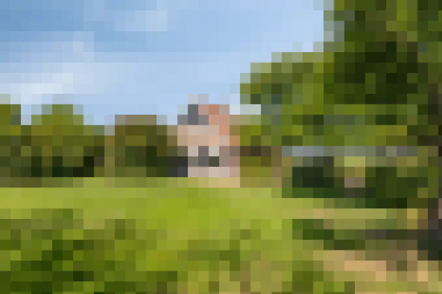 Lankerseweg 7 Halle thumbnail 54