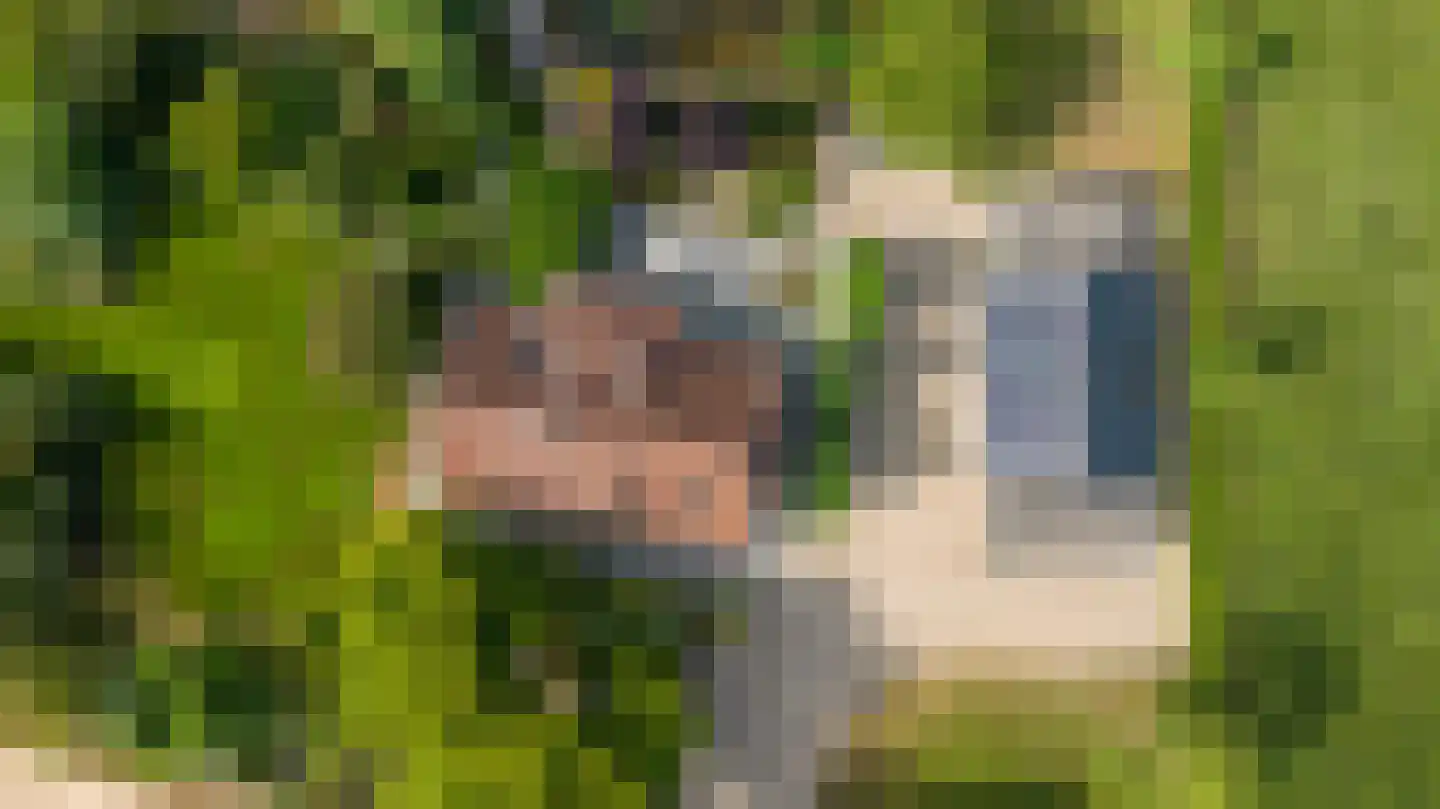 Lankerseweg 7 Halle thumbnail 6