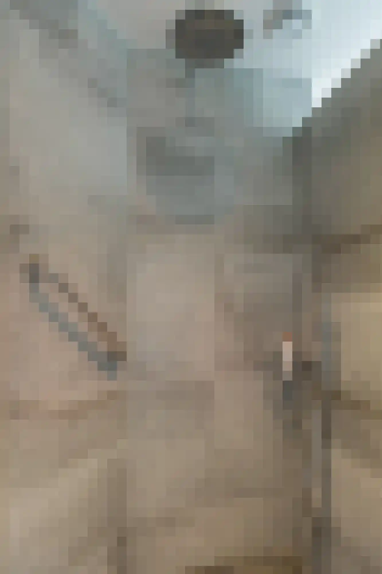 Lankerseweg 7 Halle thumbnail 65