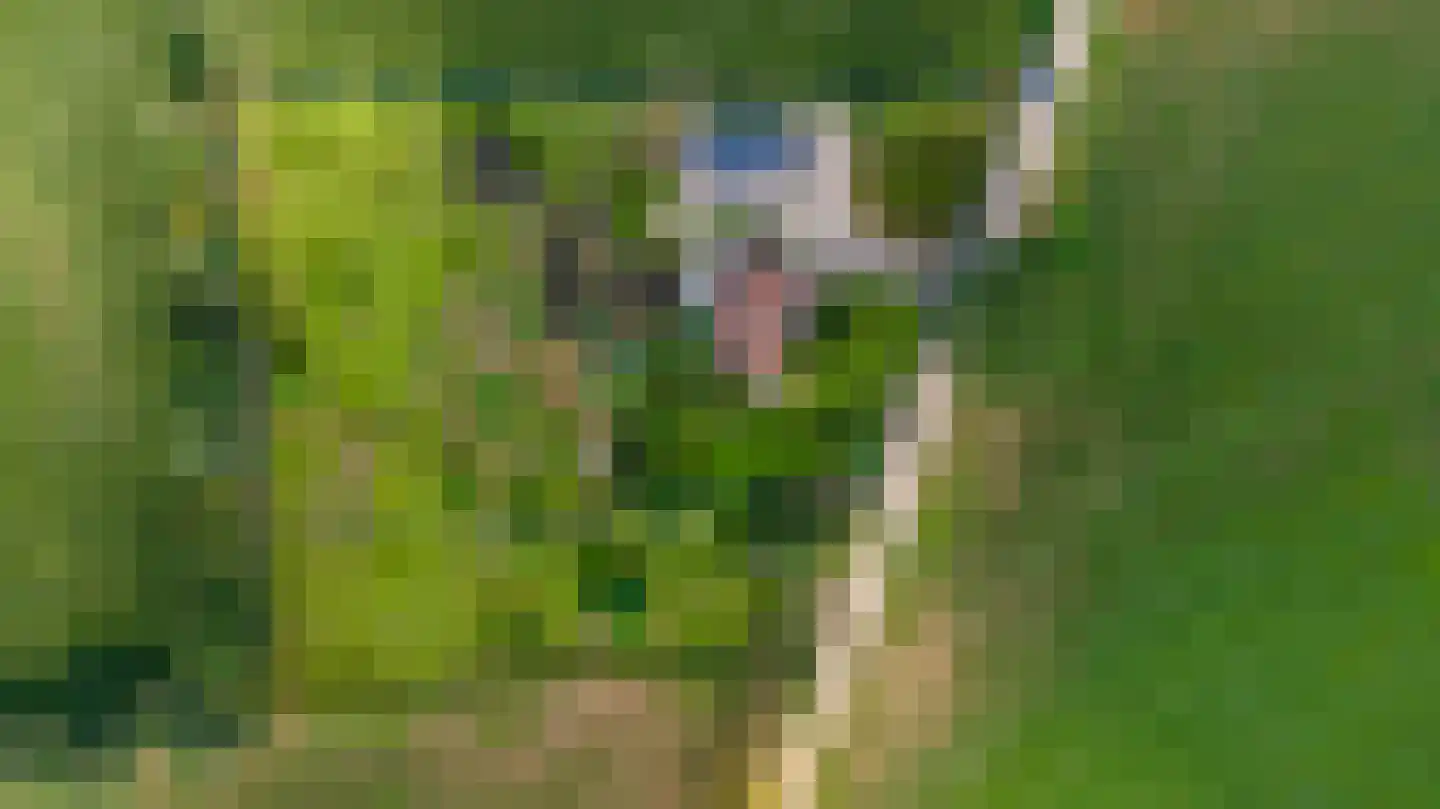 Lankerseweg 7 Halle thumbnail 7