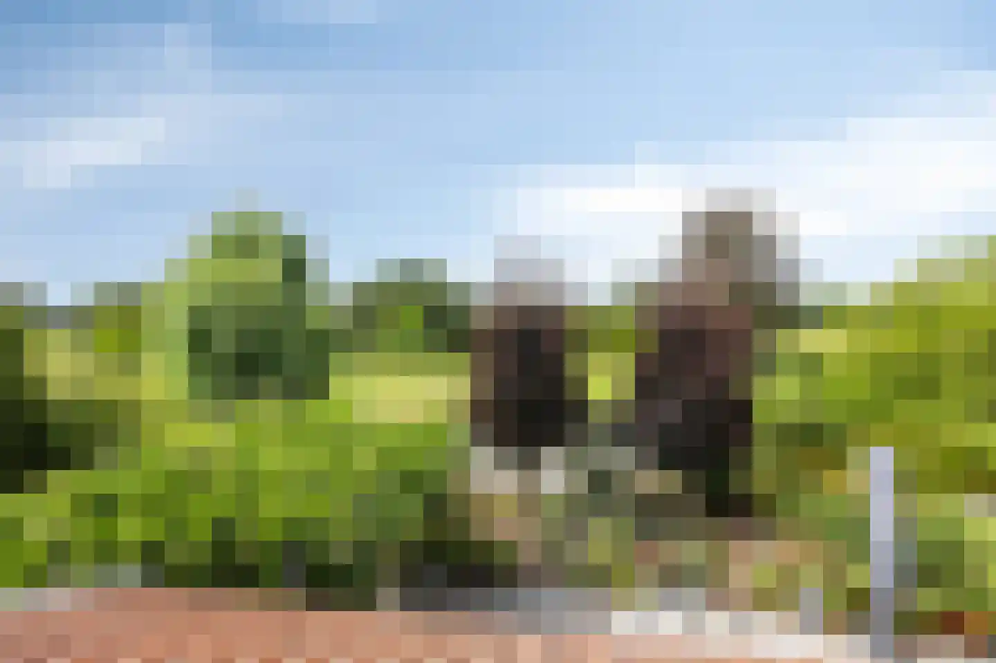 Lankerseweg 7 Halle thumbnail 70