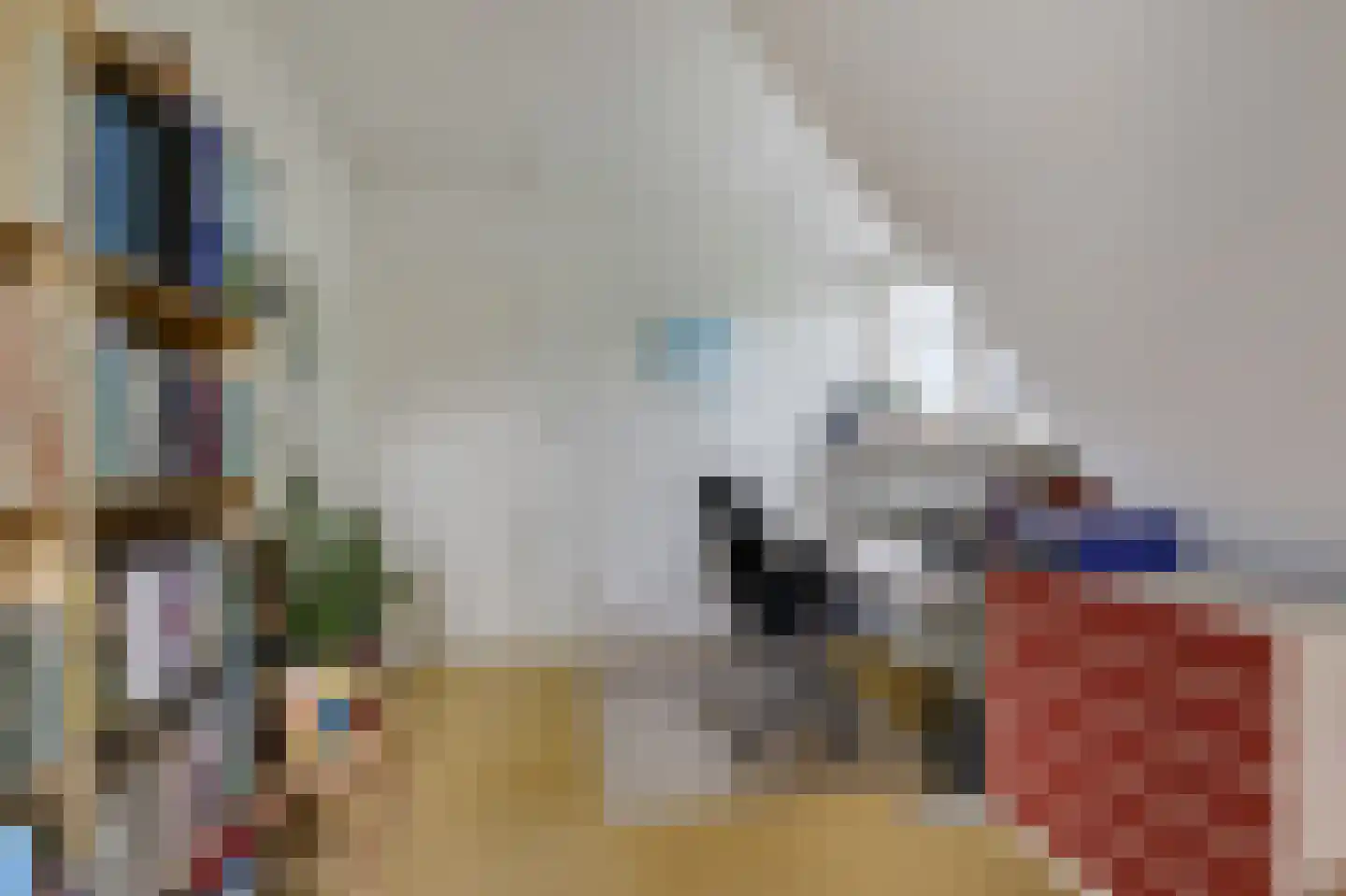 Lankerseweg 7 Halle thumbnail 71