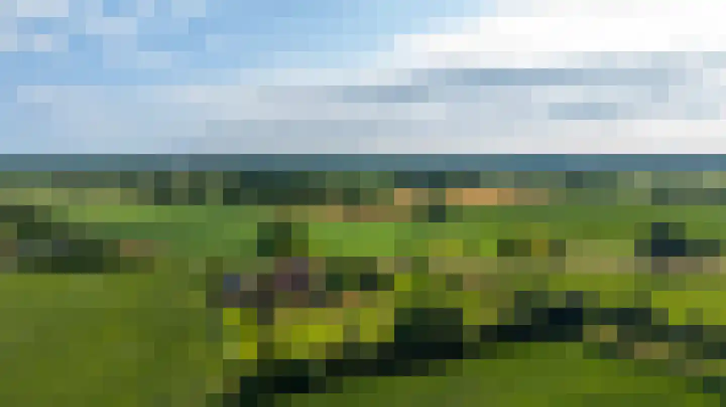 Lankerseweg 7 Halle thumbnail 8