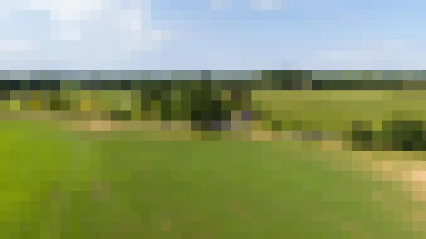 Lankerseweg 7 Halle thumbnail 9