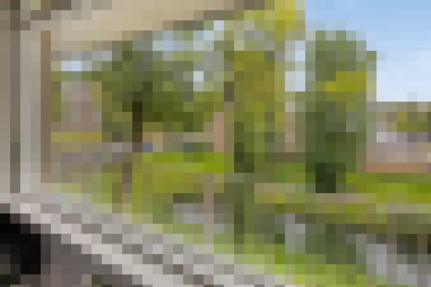 Lankforst 1120 Nijmegen thumbnail 30