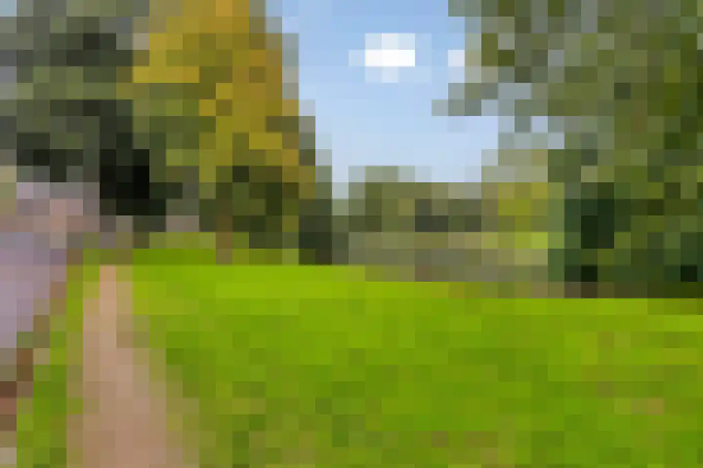 Lankforst 1120 Nijmegen thumbnail 37