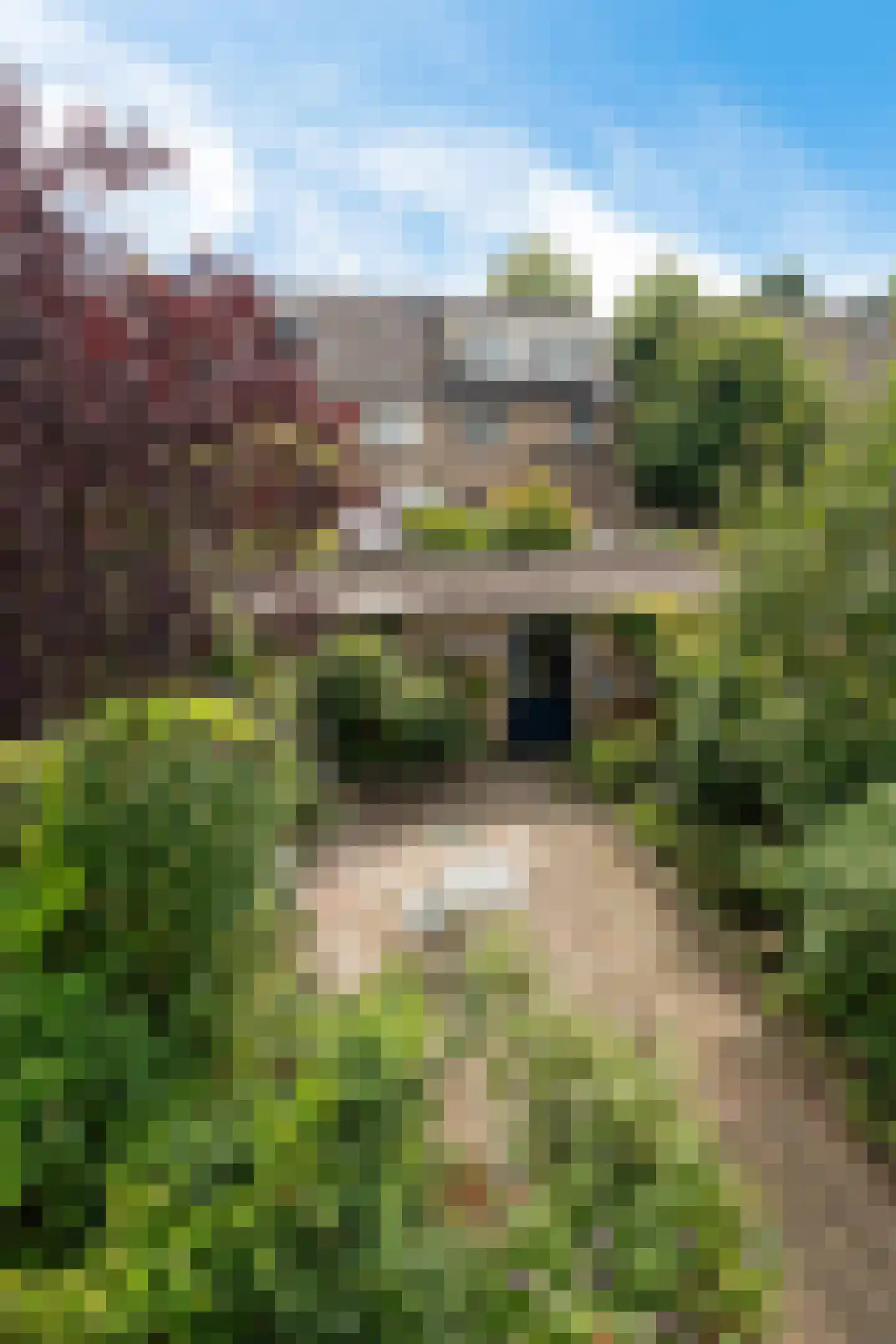 Lankforst 1121 Nijmegen thumbnail 34