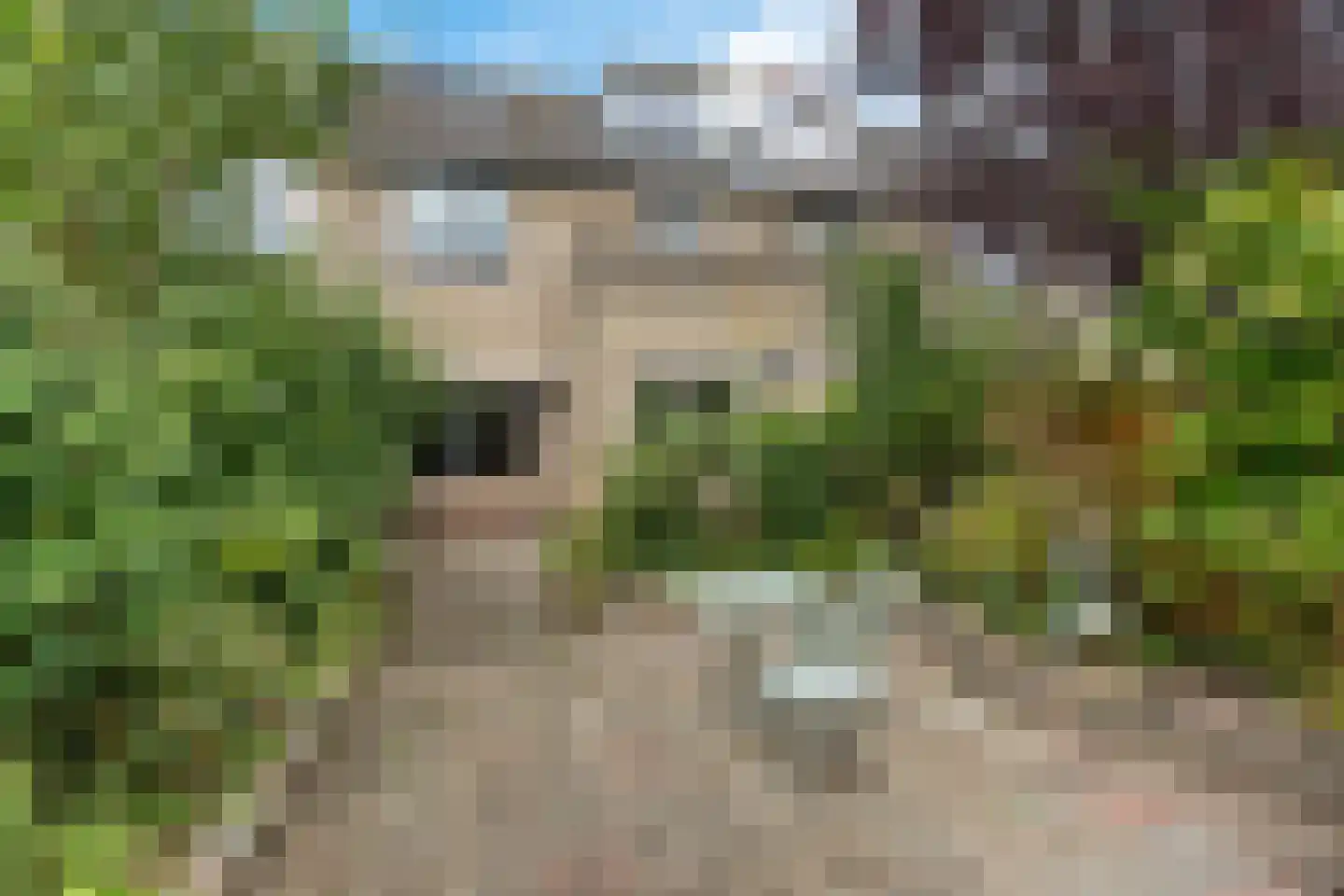 Lankforst 1121 Nijmegen thumbnail 39
