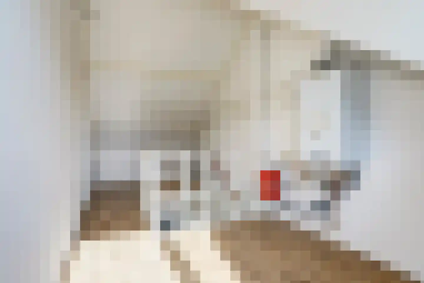 Lankforst 1127 Nijmegen thumbnail 35