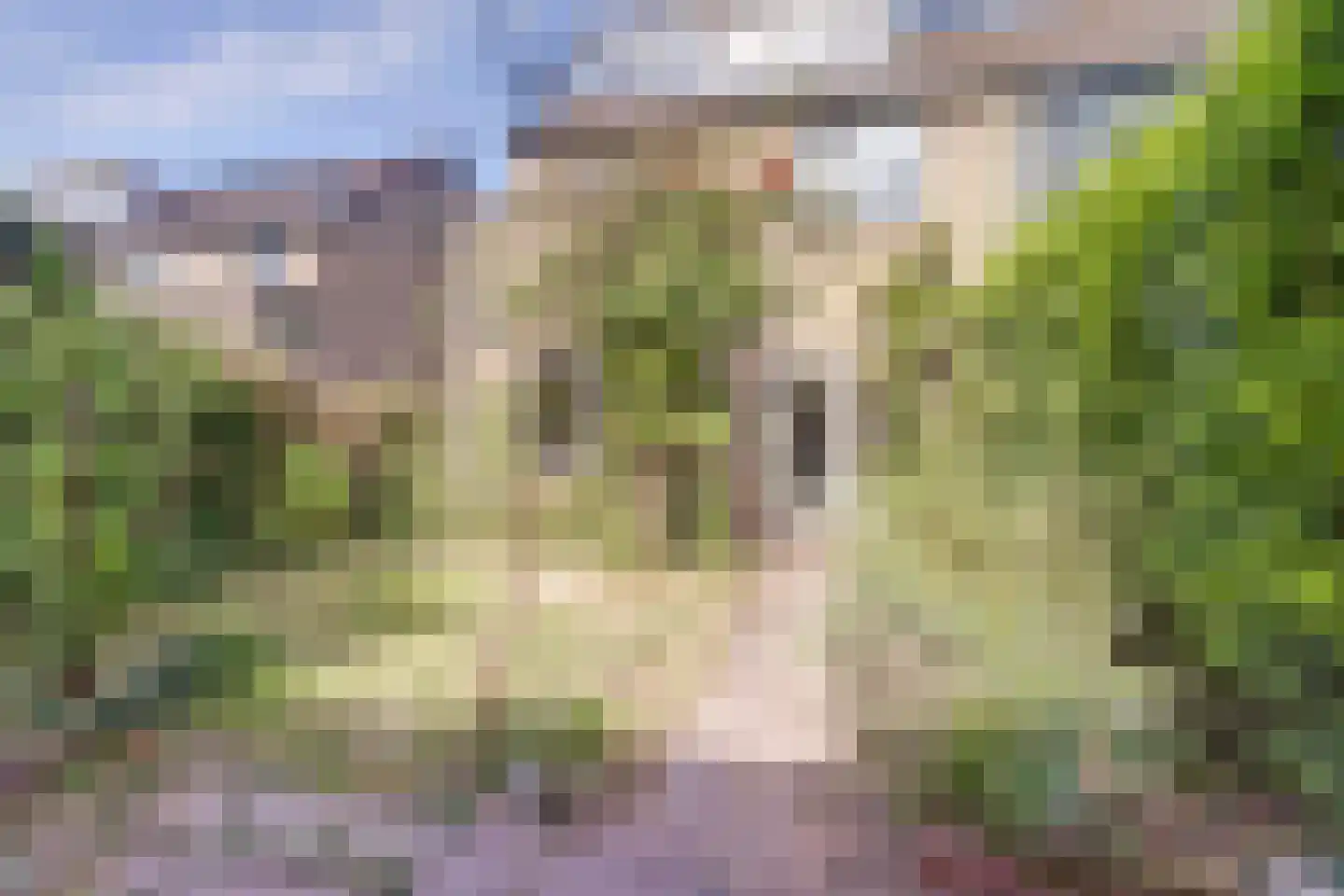 Lankforst 1127 Nijmegen thumbnail 39
