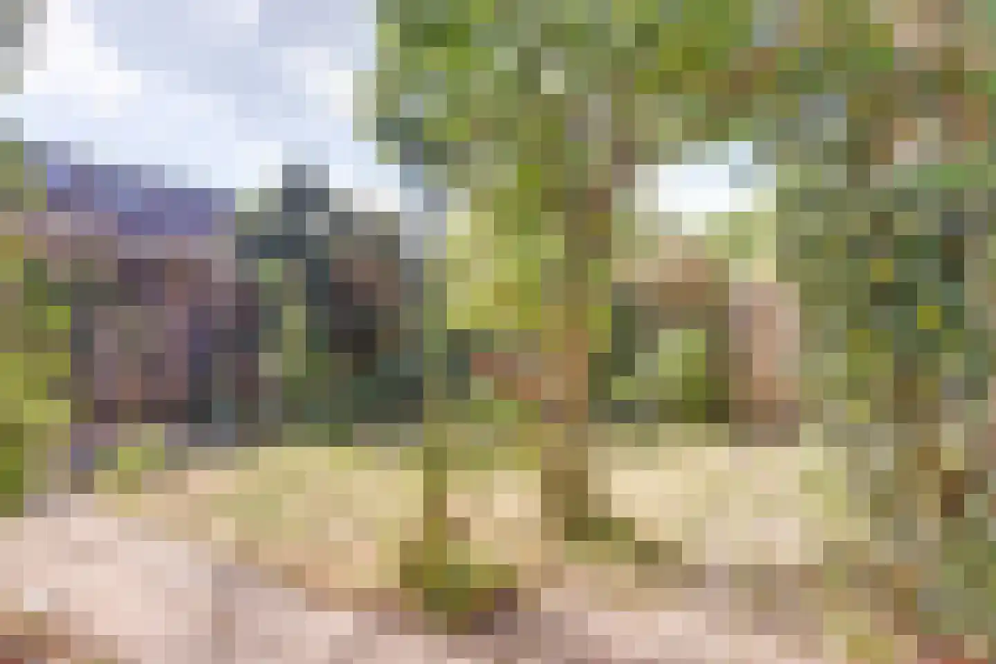 Lankforst 1127 Nijmegen thumbnail 42
