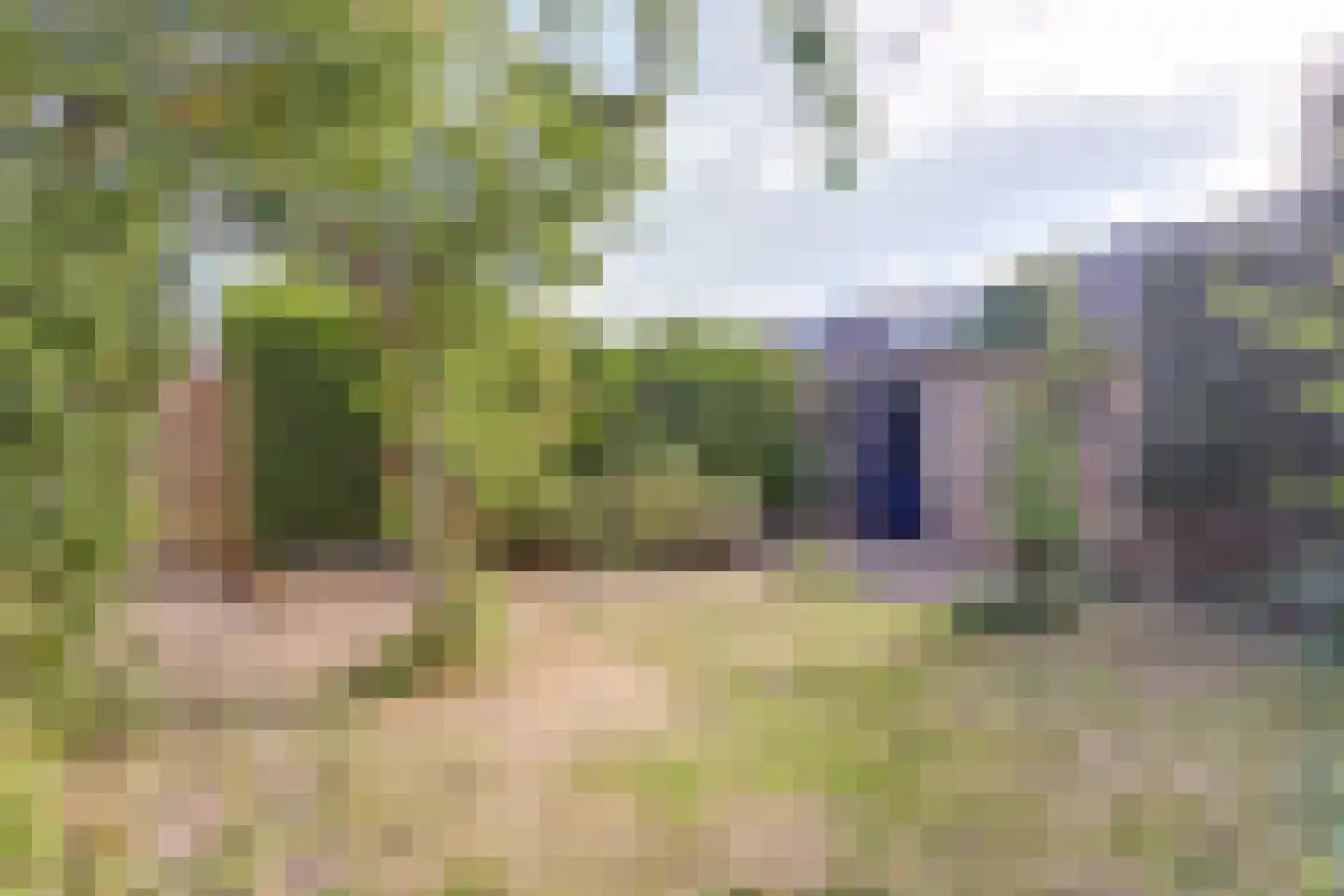 Lankforst 1127 Nijmegen thumbnail 43