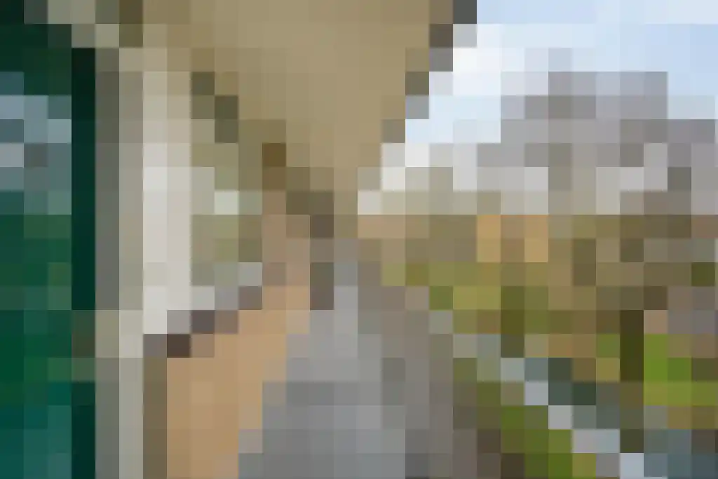 Lankforst 1132 Nijmegen thumbnail 9