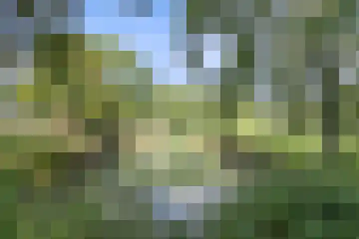 Lankforst 1150 Nijmegen thumbnail 23
