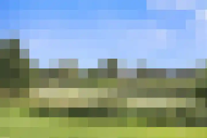 Lankforst 1150 Nijmegen thumbnail 24