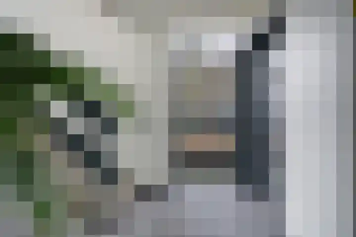 Lankforst 1150 Nijmegen thumbnail 8