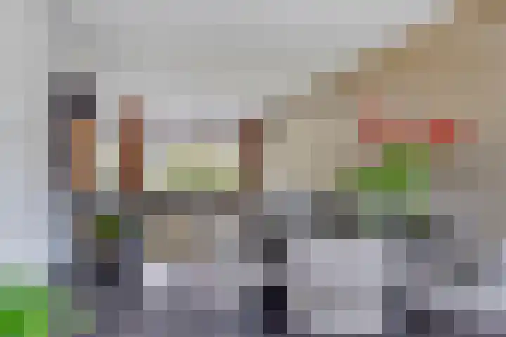 Lankforst 1202 Nijmegen thumbnail 13