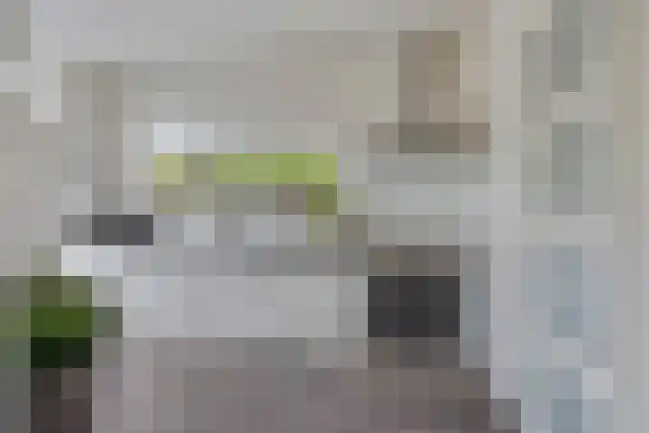 Lankforst 1202 Nijmegen thumbnail 15