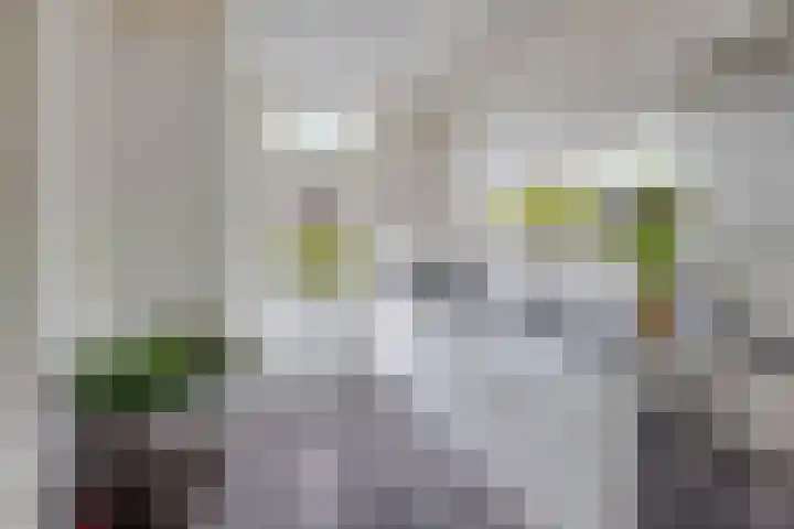 Lankforst 1202 Nijmegen thumbnail 16