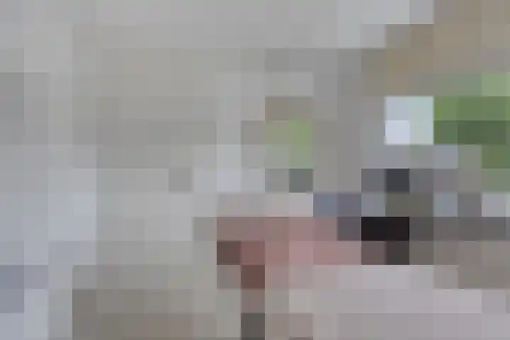 Lankforst 1202 Nijmegen thumbnail 22