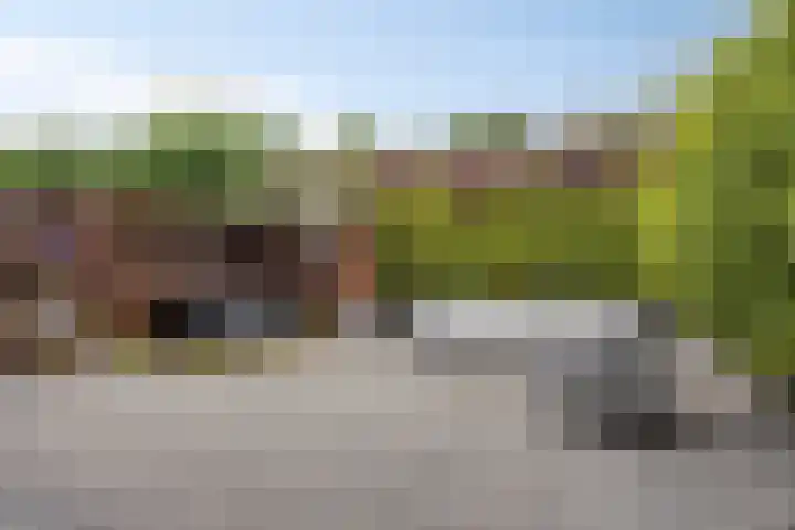 Lankforst 1202 Nijmegen thumbnail 33